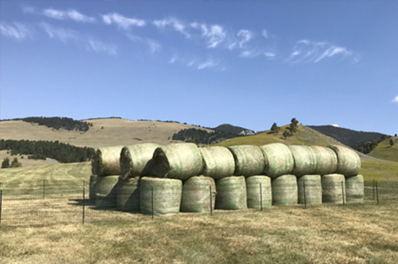 Hebei Yehui Metal Materials Co., Ltd. 