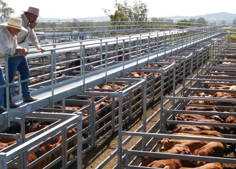 316 Stainless steel wire