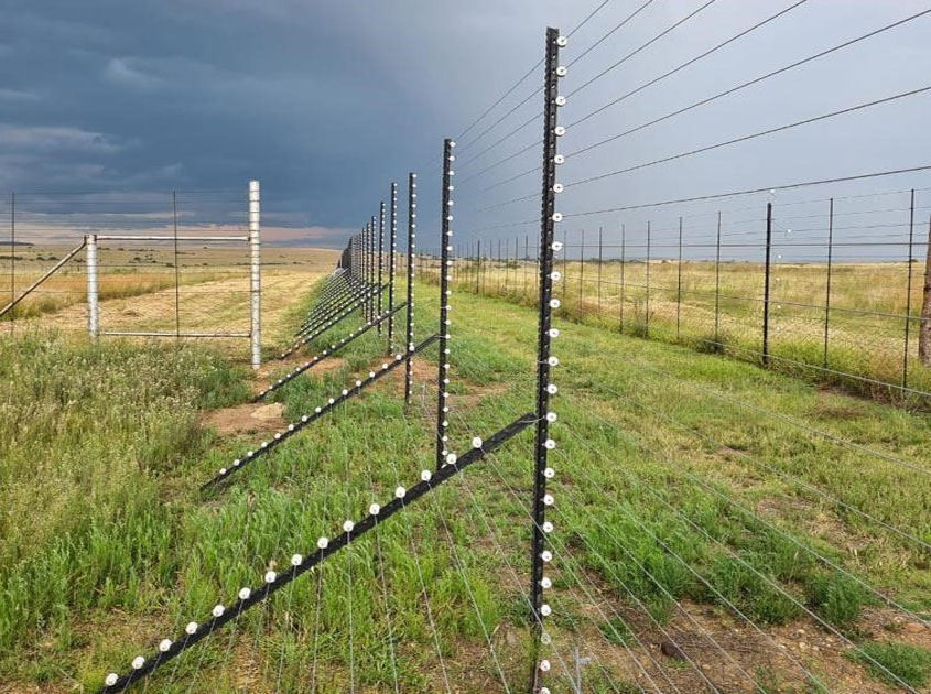 304 Stainless steel wire